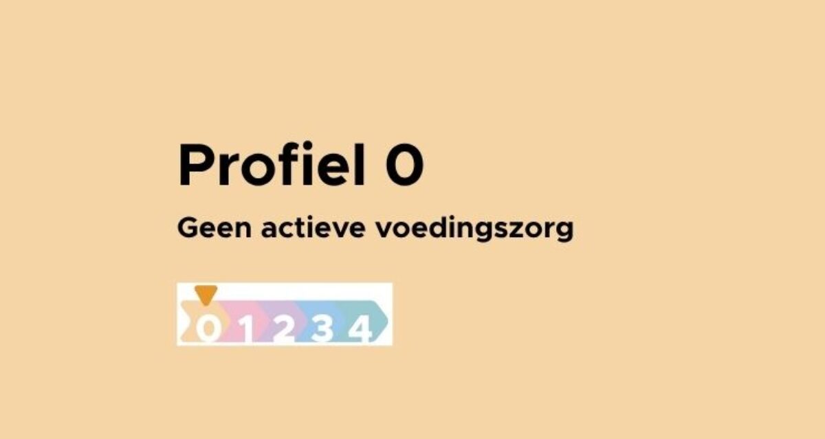 Afbeelding Website formaat nieuwsberichten (8)